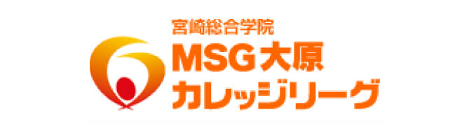 MSG